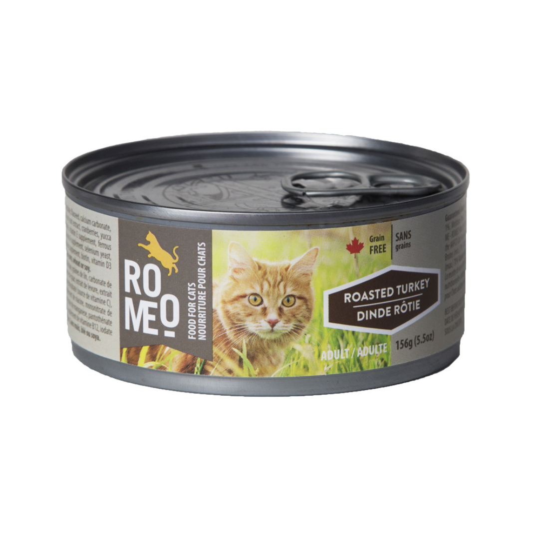 ROMÉO | Chat, dinde rôtie