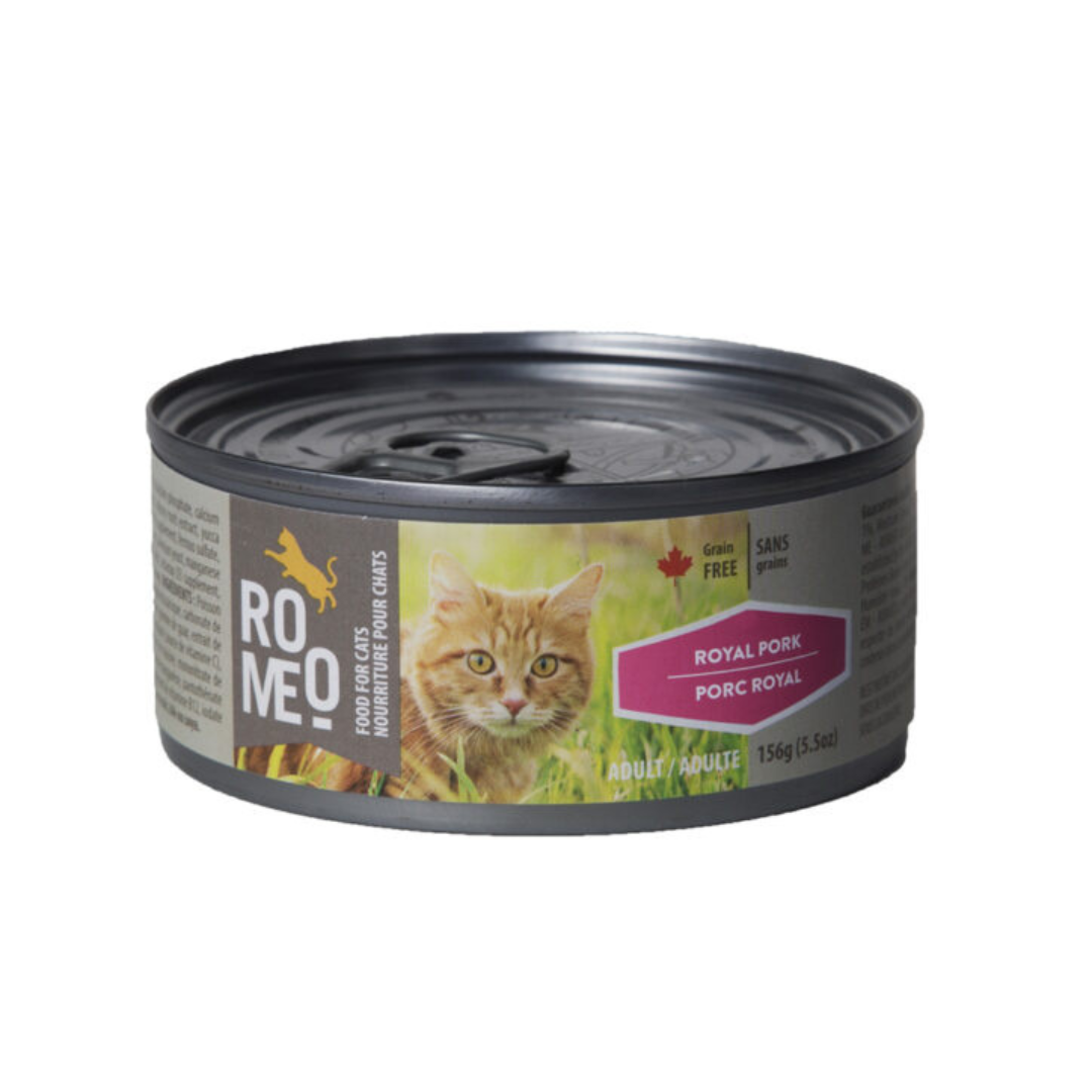 ROMÉO | Chat, porc royal