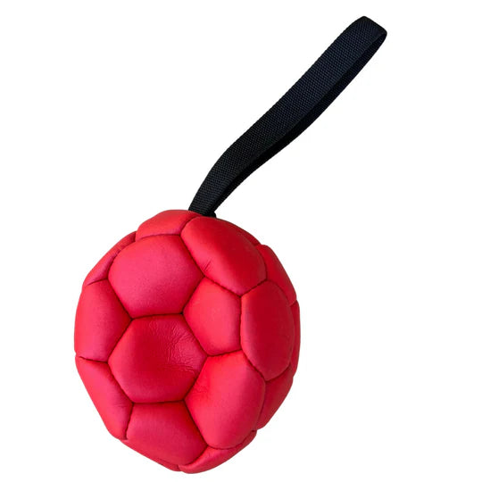 SCHWEIKERT | Ballon de soccer à air en cuir