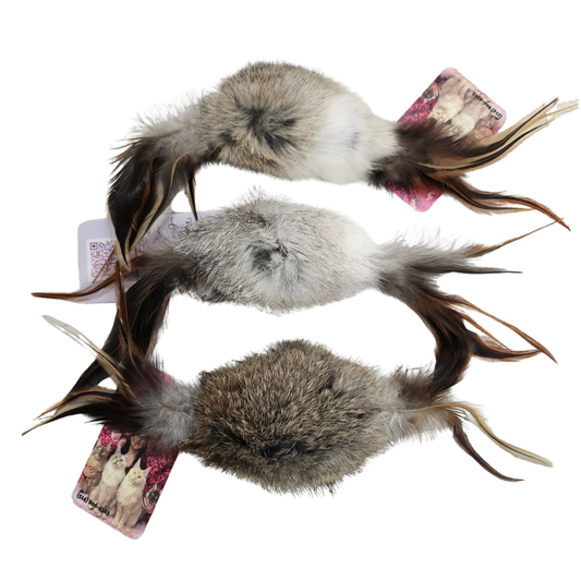 VANESSA'S MAINE COONS | Palatouche (peau de lapin et plumes x 2)