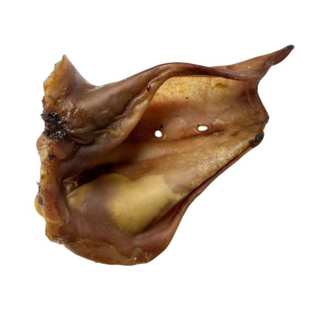 WAWWAW | Oreille de porc géante