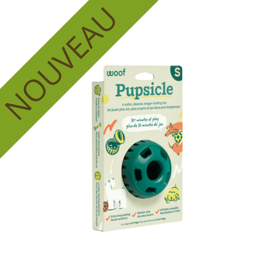 Woof Pupsicle pour chien