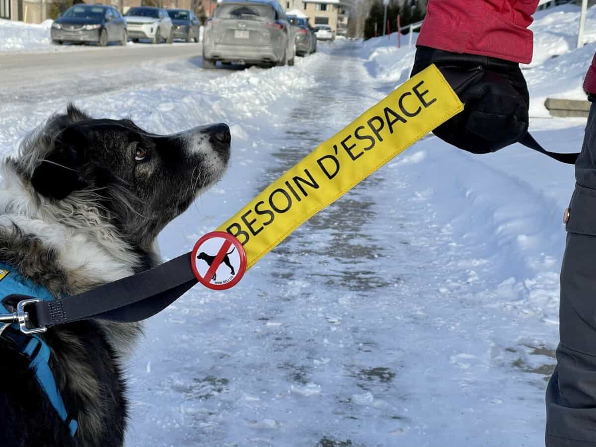 BELI CONCEPT | Bandeau ''Besoin d'espace'' pour laisse. Nature Animale, votre référence en alimentation animale et sport canin à Mascouche.