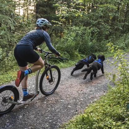 NAHAK | Ligne bungee pour bikejoring 5/8