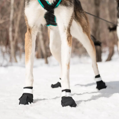 NAHAK | Botte pour chien - surface enneigée