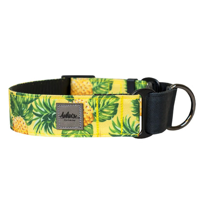 AMAROK | Collier martingale
