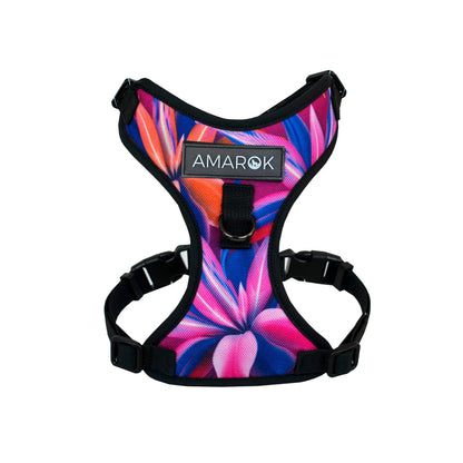 AMAROK | Harnais classique pour petit chien