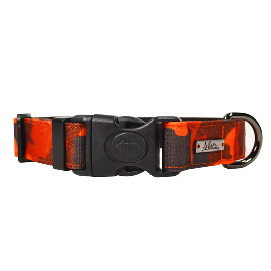AMAROK | Collier classique Sahara. Nature Animale, votre référence en alimentation animale et sport canin à Mascouche.