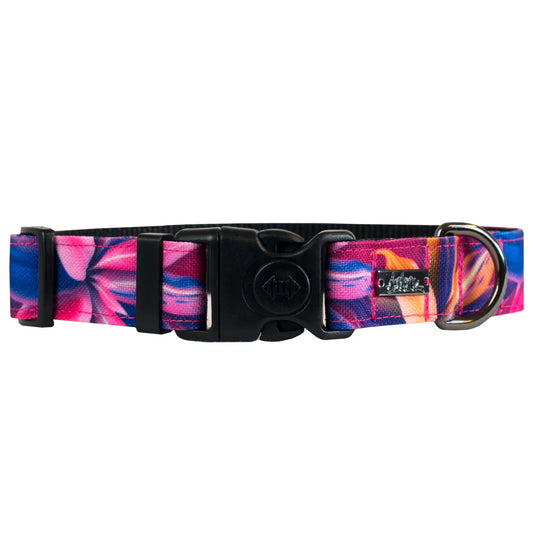 AMAROK | Collier classique Hannaé. Nature Animale, votre référence en alimentation animale à Mascouche.