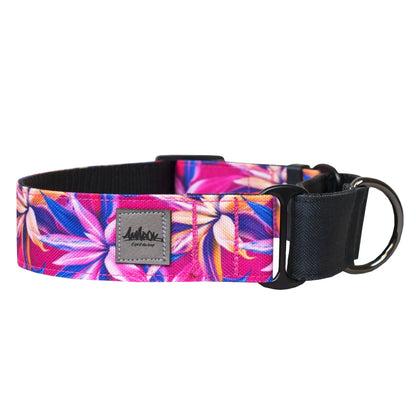 AMAROK | Collier martingale