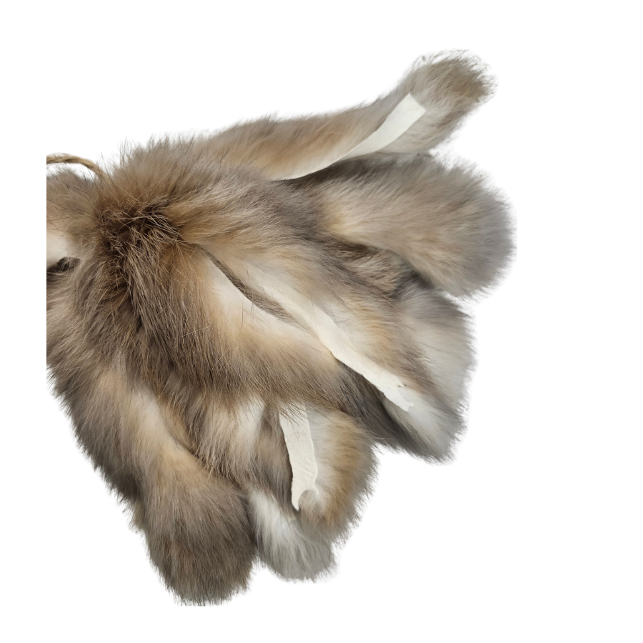 VANESSA'S MAINE COONS | Agace-chat "Chasse au calamar"