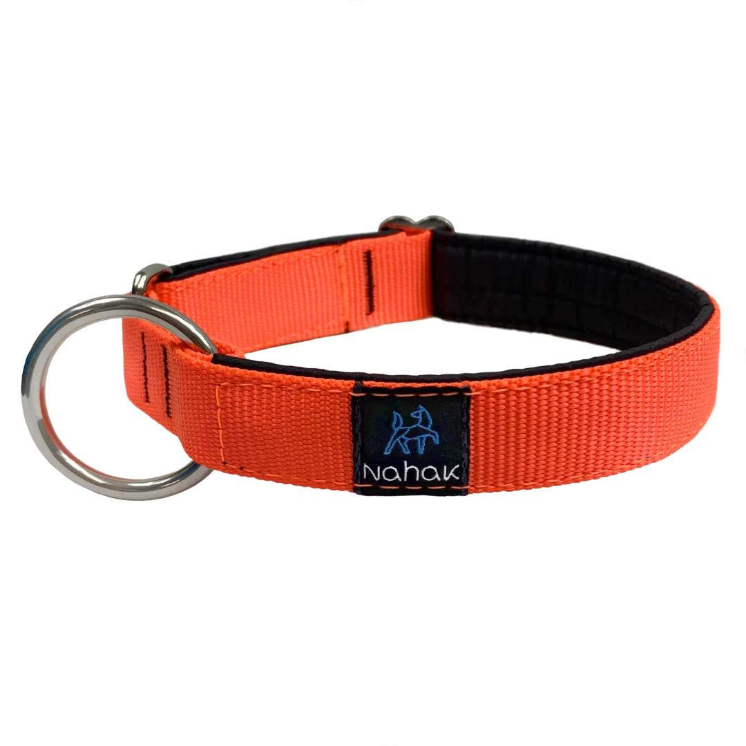 NAHAK | Collier orange pour chien - rembourré. Nature Animale, votre référence en alimentation animale et sport canin à Mascouche.