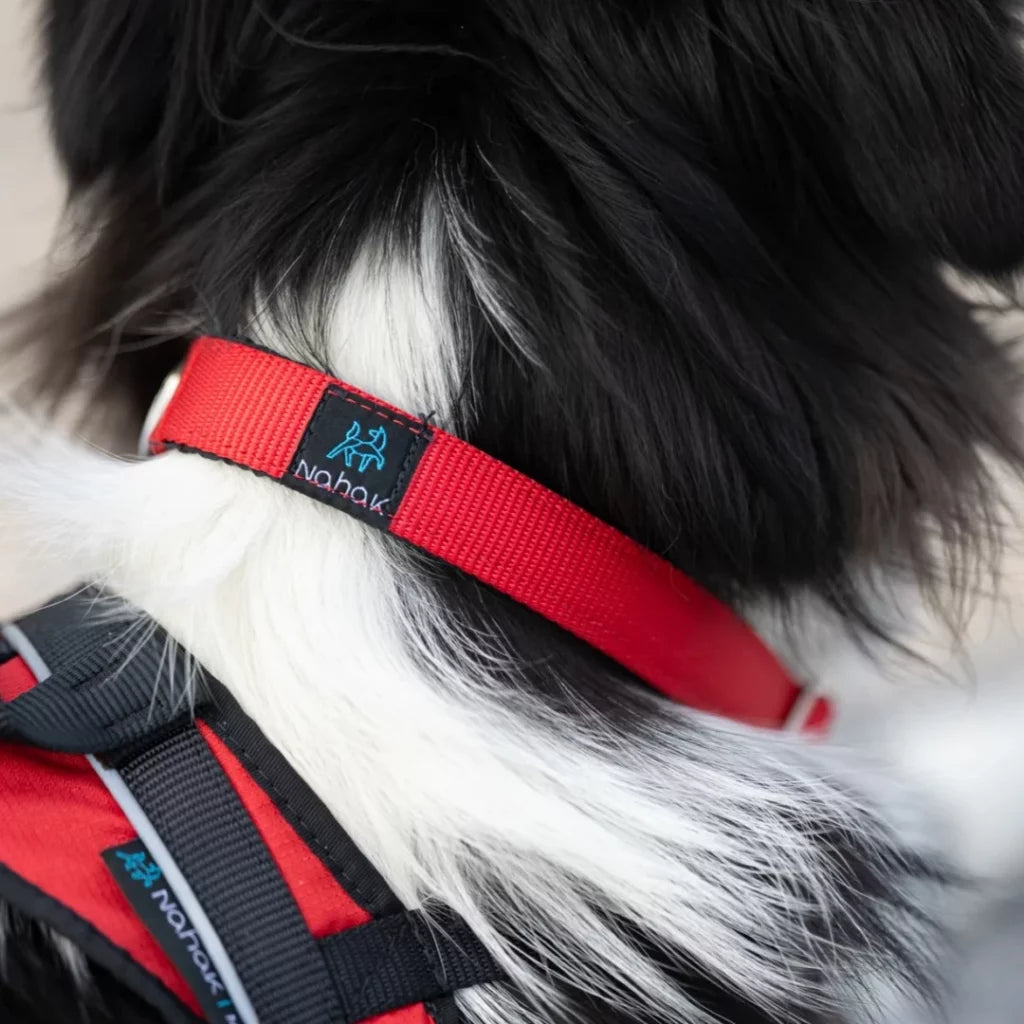 NAHAK | Collier pour chien - sports attelés