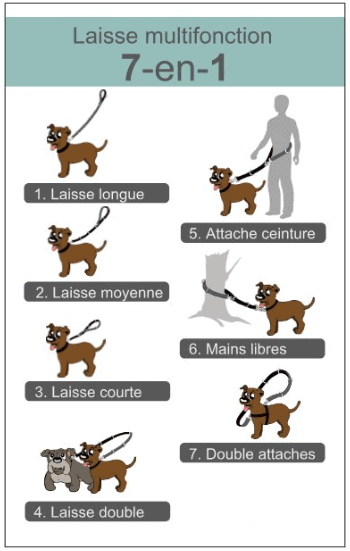 BELI CONCEPT | Laisse multi-fonctions 7 en 1 noire