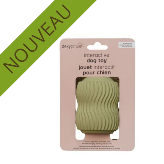DEXYPAWS | Jouet à mâcher robuste, vert sauge