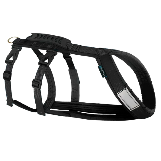 NAHAK | Harnais hybride