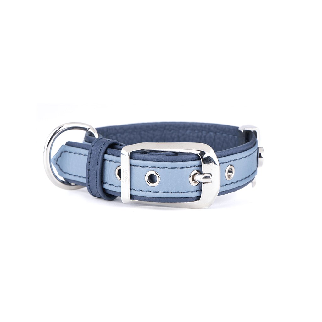 MY FAMILY - Collier Firenze bleu pâle pour chien. Nature Animale, votre référence en alimentation animale et sport canin à Mascouche.