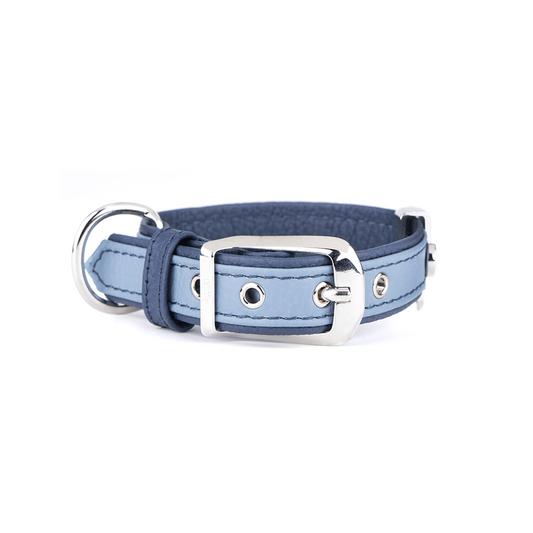 MY FAMILY - Collier Firenze bleu pâle pour chien. Nature Animale, votre référence en alimentation animale et sport canin à Mascouche.
