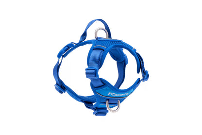 RC PETS | Harnais pour chien Momentum