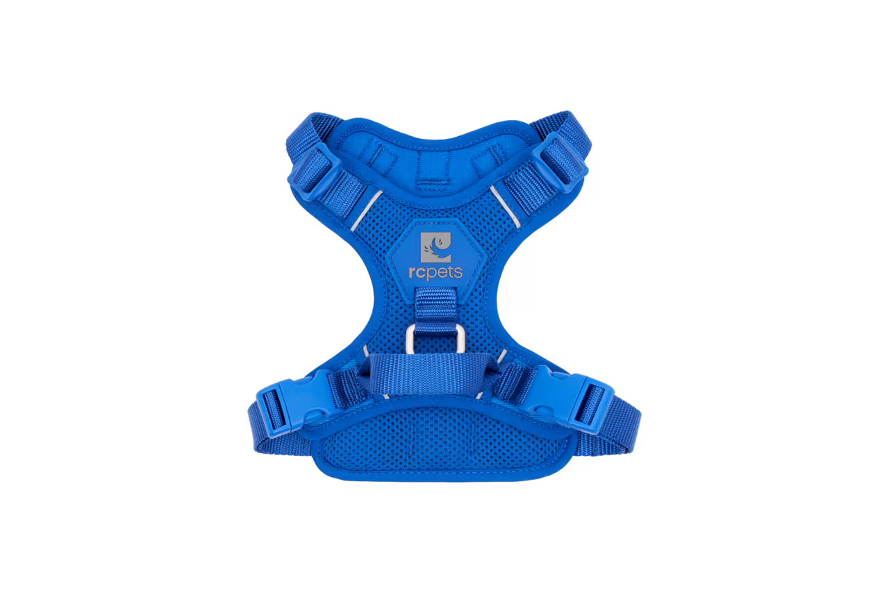 RC PETS | Harnais pour chien Momentum
