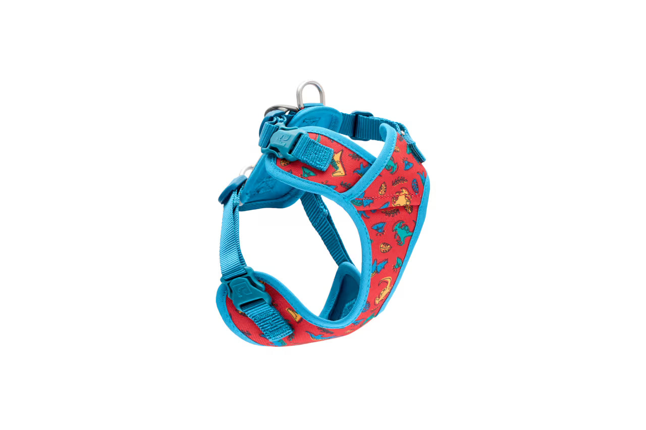 RC PETS | "Petite" Harnais Explorateur