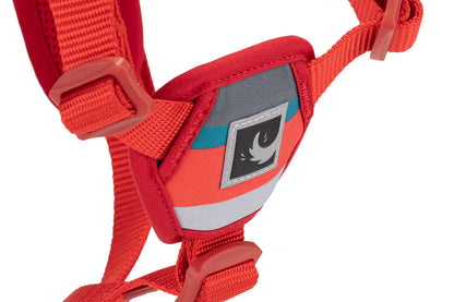 RC PETS | Harnais Step-In Forte pour chiens
