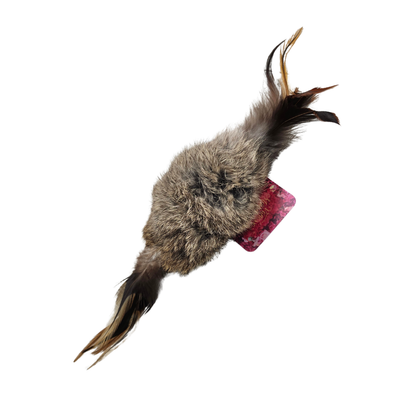 VANESSA'S MAINE COONS | Palatouche (peau de lapin et plumes x 2)