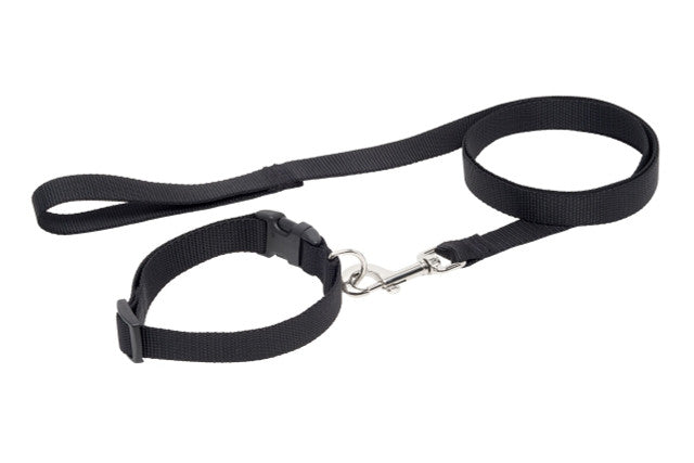 RC PETS | Ensemble collier et laisse Bakoda