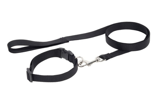 RC PETS | Ensemble collier et laisse Bakoda