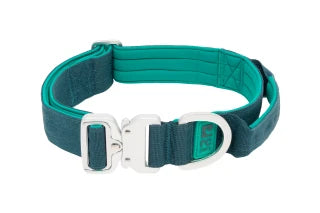 RC PETS | Collier Stratus