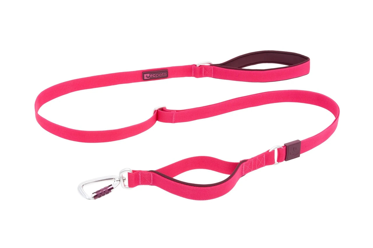RC PETS | Laisse Stratus