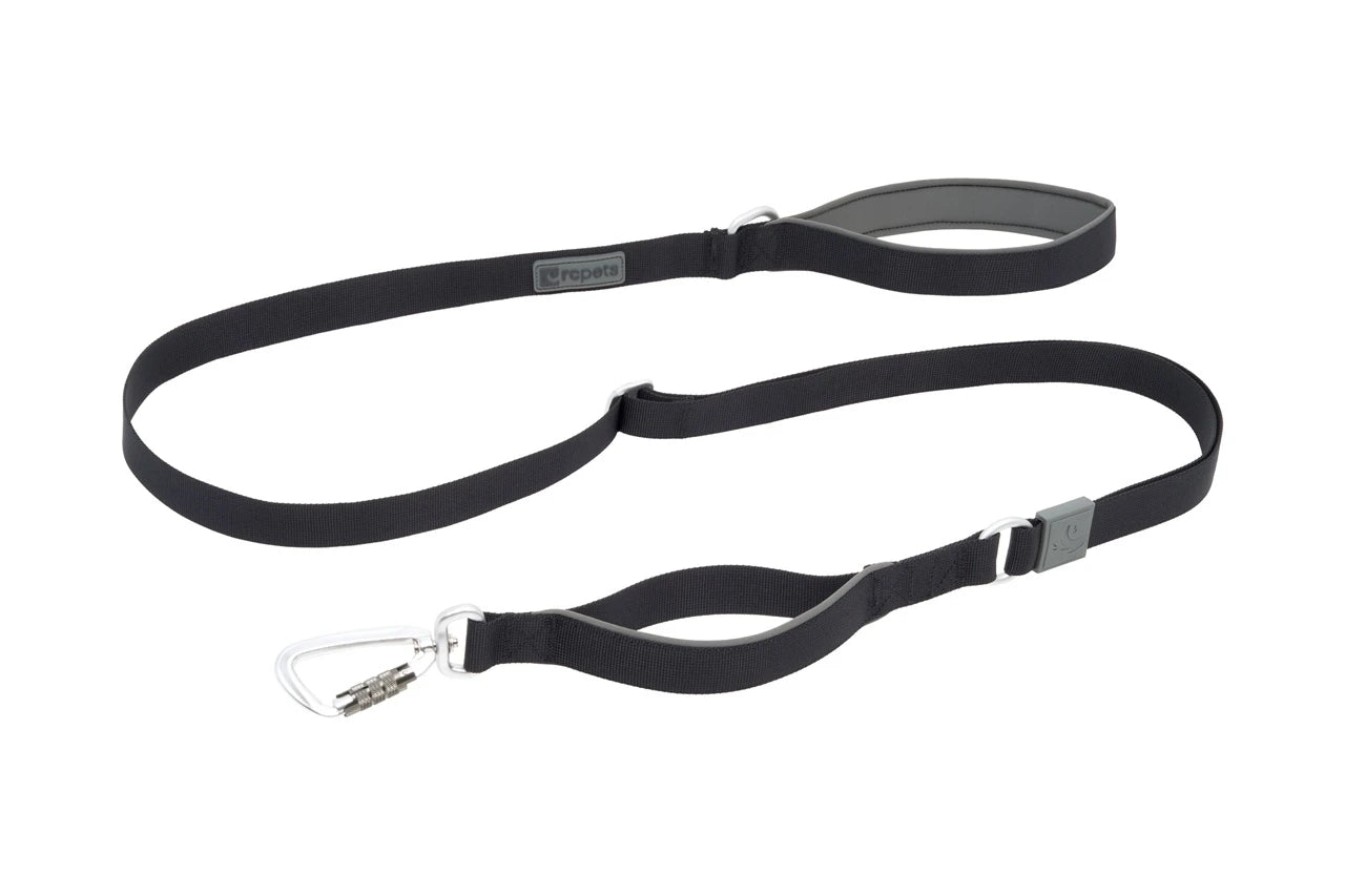 RC PETS | Laisse Stratus