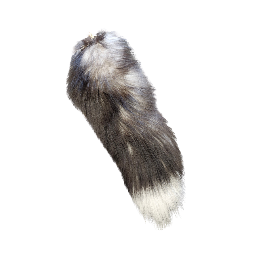 VANESSA'S MAINE COONS | Renard Enchanté