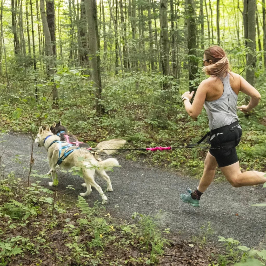 NAHAK | Séparateur pour ligne bungee multisport