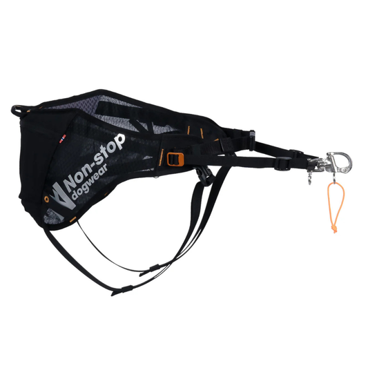 NON STOP | Ceinture Løype pro pour skijoring. Nature Animale, votre référence en alimentation et sports canin à Mascouche.