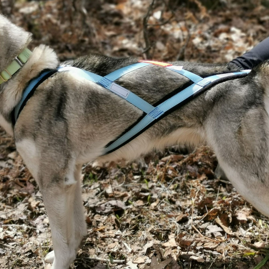 KIN | Harnais X-Back MCF