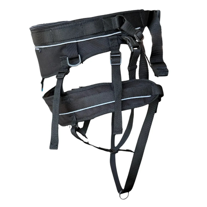 AMAROK | Ceinture de canicross Évolution