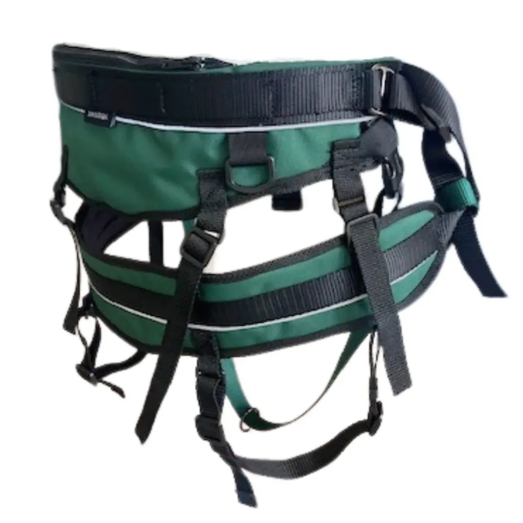 AMAROK | Ceinture de canicross Évolution