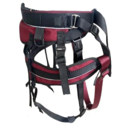 AMAROK | Ceinture de canicross Évolution