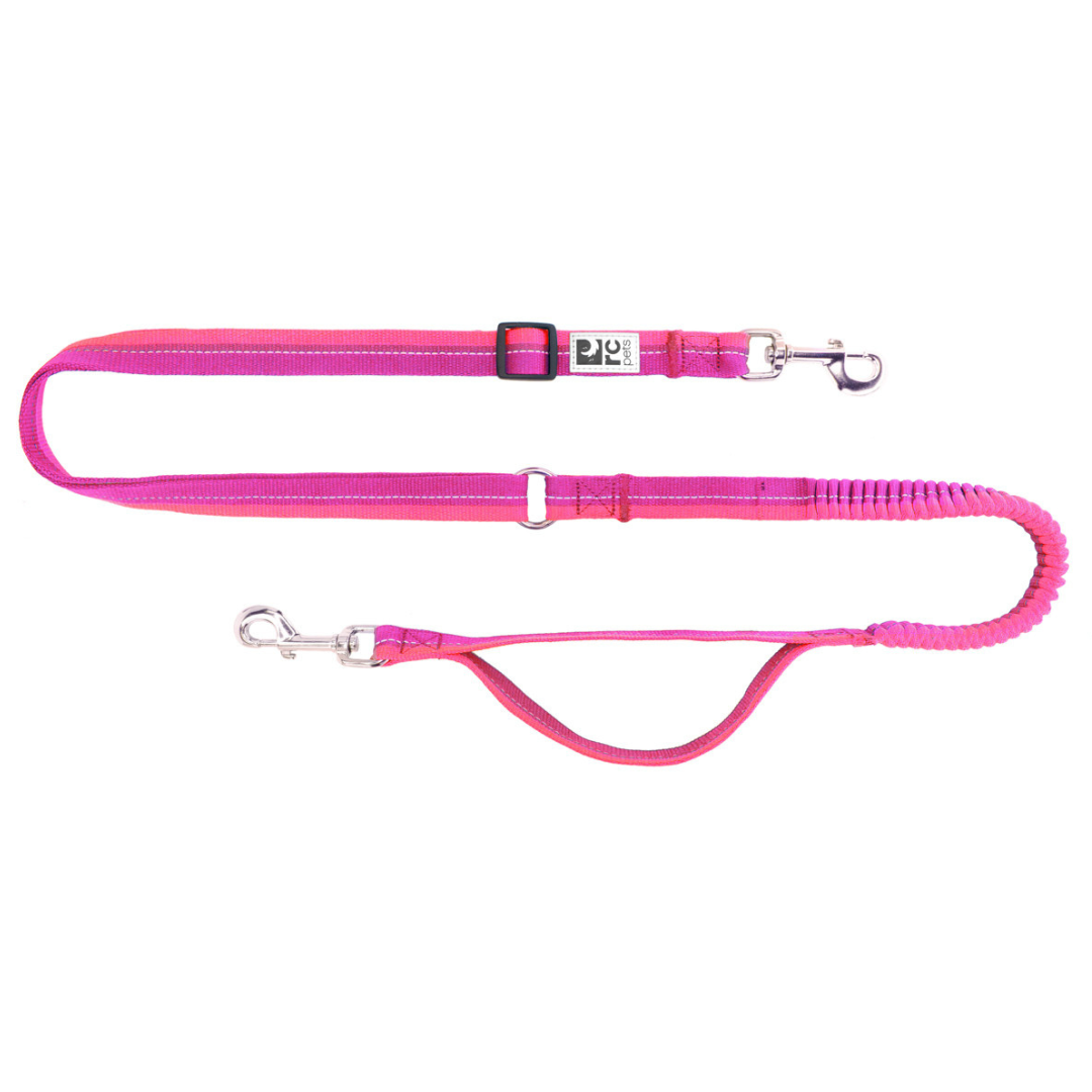 RC PET | Bungee active leash mullberry/azalea. Nature Animale, votre référence en alimentation et sports canin à Mascouche.