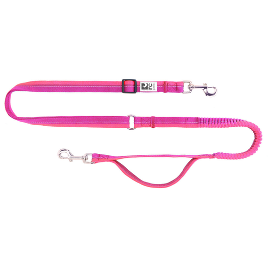 RC PET | Bungee active leash mullberry/azalea. Nature Animale, votre référence en alimentation et sports canin à Mascouche.