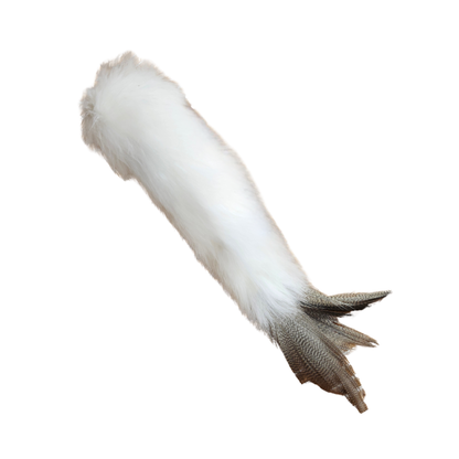 VANESSA'S MAINE COONS | Queue de lynx (jouet sifflant, peau de lapin et plume)