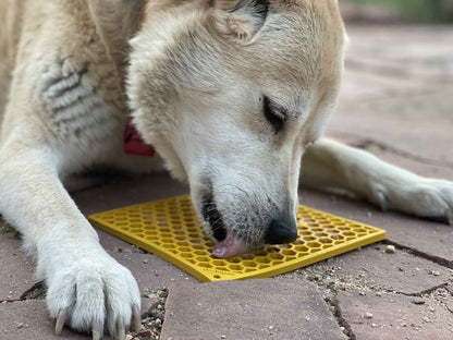 SODAPUP | Tapis de léchage miel
