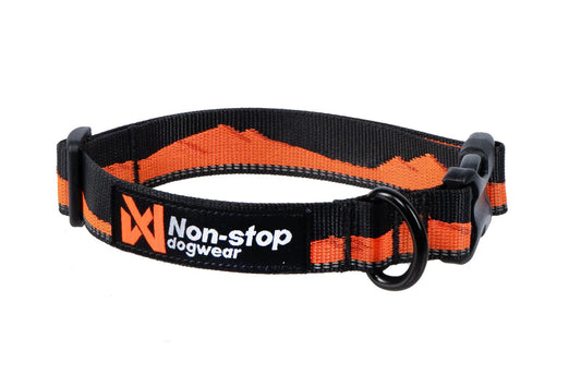 NON-STOP | Collier Trail Quest