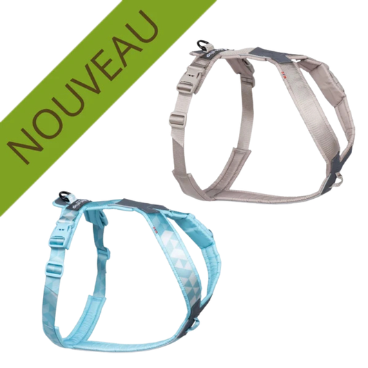 NON-STOP | Harnais Trekking Line CLIP'N